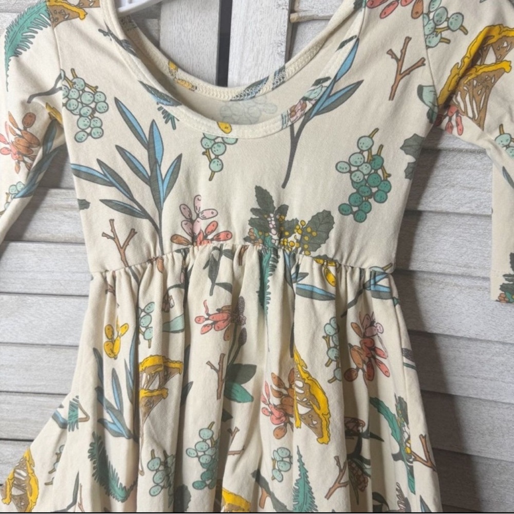 Alice + Ames Herbal Study Ballet Dress Toddler Girls 2T Botanical Twirl Dress - Picture 6 of 6